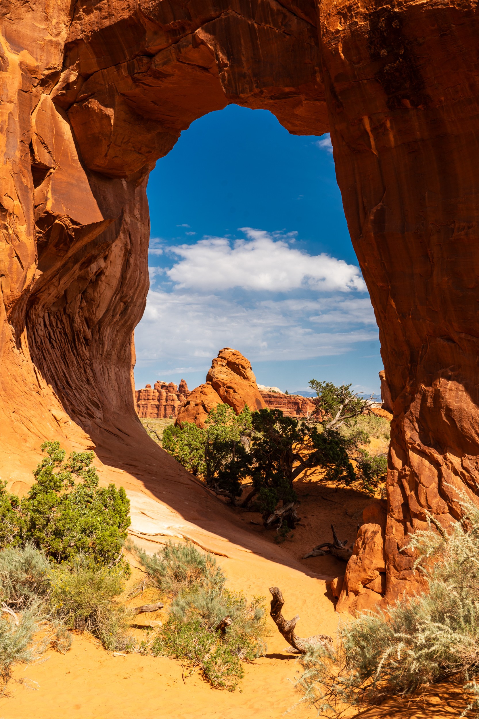 USA 2024 5 Sterne 117